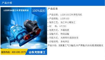 立窯水泥廠高效生產(chǎn)解決方案 羅茨風(fēng)機(jī)應(yīng)用與龍鼓風(fēng)機(jī)的一站式服務(wù)