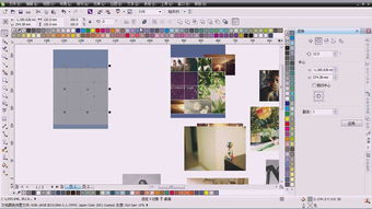 專(zhuān)業(yè)之選 打造卓越Logo與VI設(shè)計(jì)的軟件工具指南